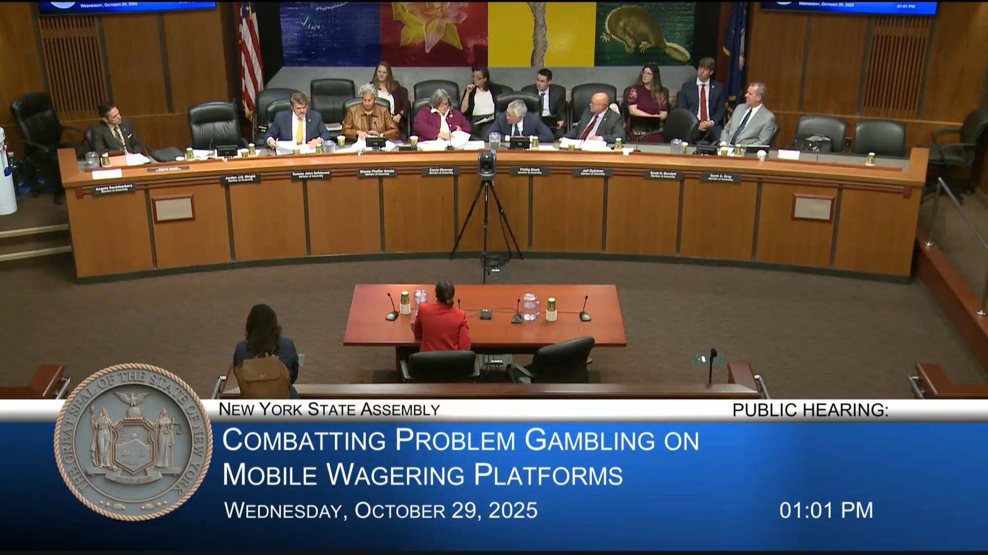 Schiavoni Questions Advocates During Public Hearing on Combating Problem Gambling on Mobile Wagering Platforms