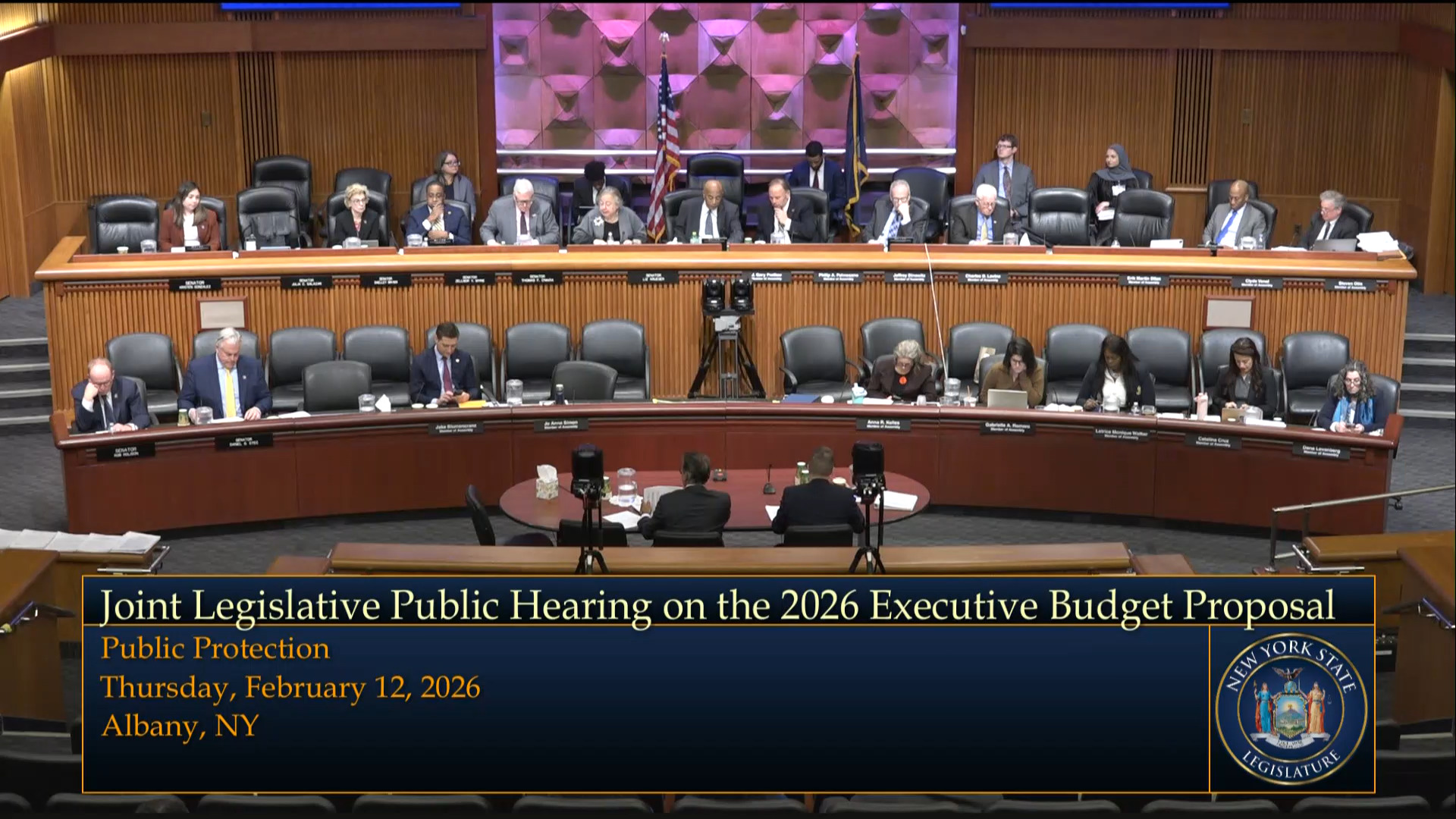 Assembly and Senate Hold Budget Hearing on Public Protection