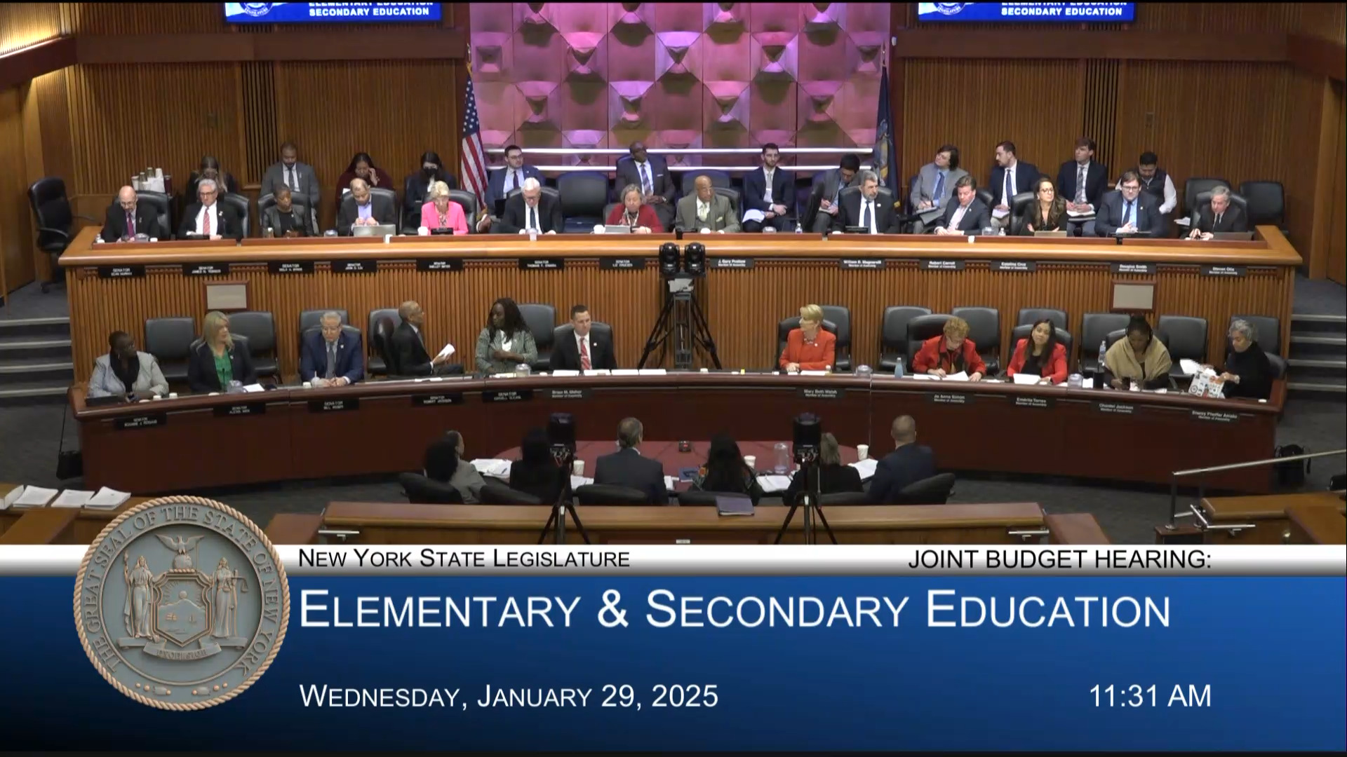 NYC Schools Chancellor Testifies During Budget Hearing on Elementary and Secondary Education