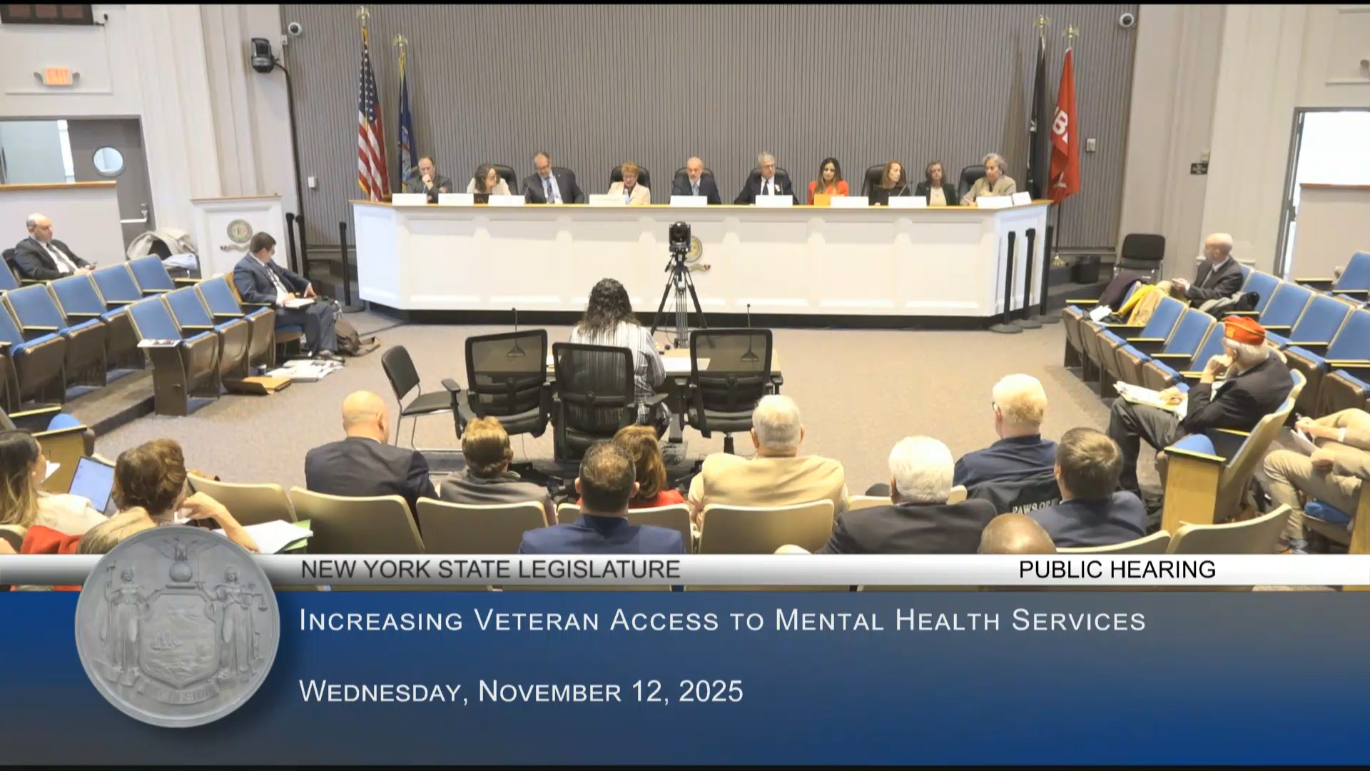 Pheffer Amato Attends LI Public Hearing on Ways to Increase Veterans’ Access to Mental Health Services