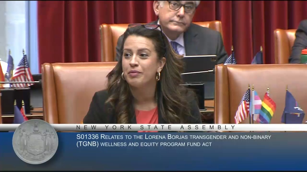 Amending the Lorena Borjas TGNB Wellness and Equity Program Fund Act