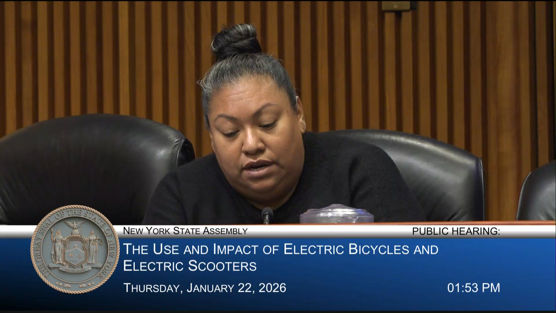 Workers Justice Project Members Testify at Hearing on Effects E-bikes and E-Scooters Have on Mobility, Traffic and Public Safety