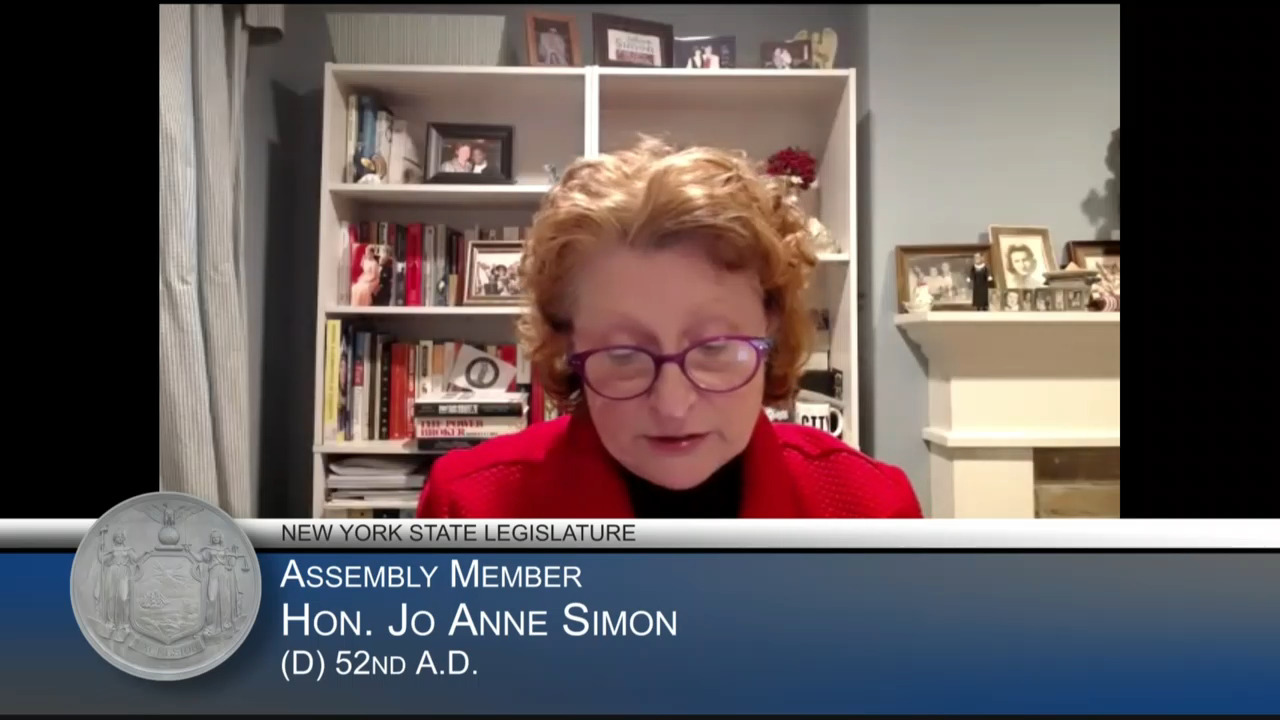 Simon Questions MTA on Congestion Pricing During Budget Hearing on Transportation