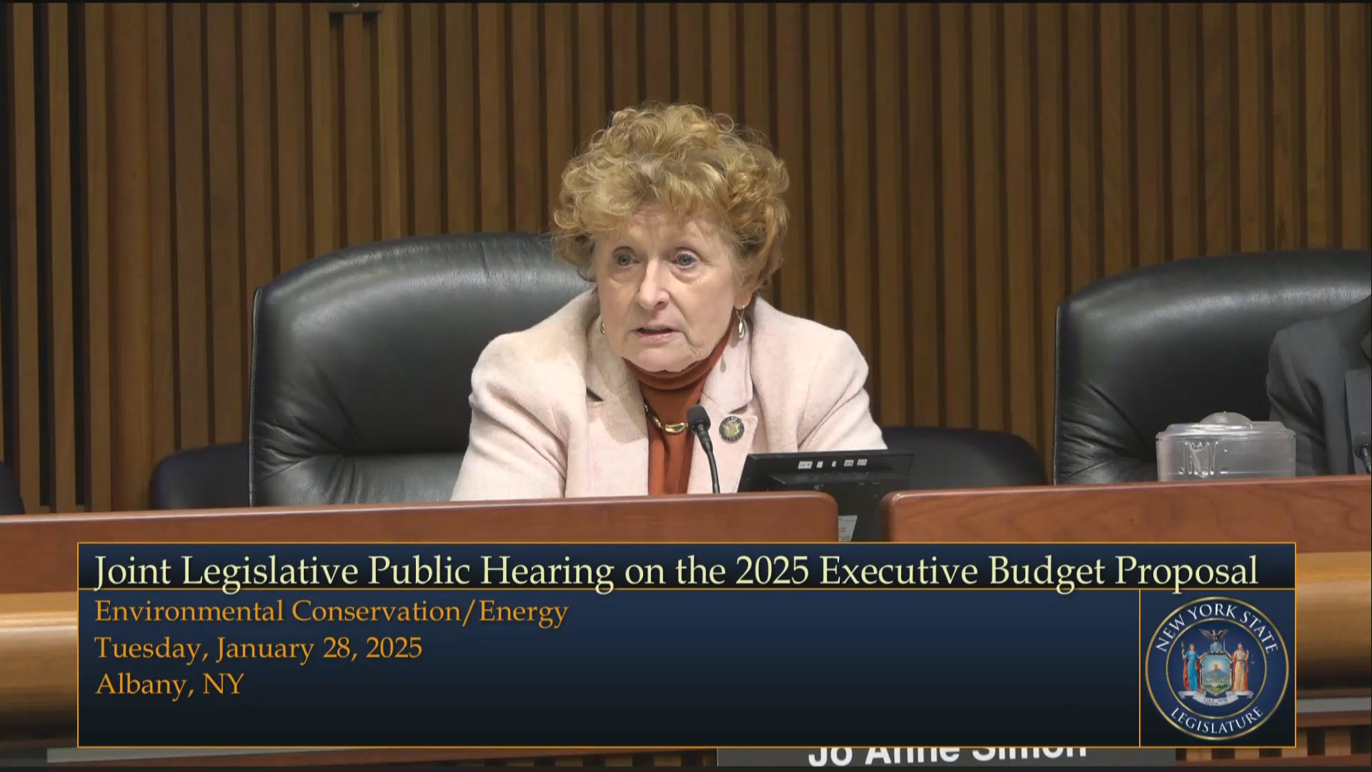 DEC Commissioner Testifies During Budget Hearing on Environmental Conservation & Energy