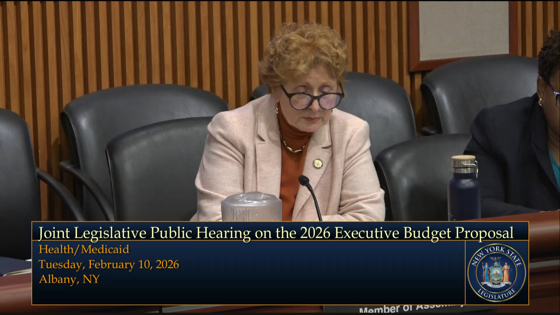NYS Dept. of Health Medicaid Director Testifies During Budget Hearing on Health and Medicaid
