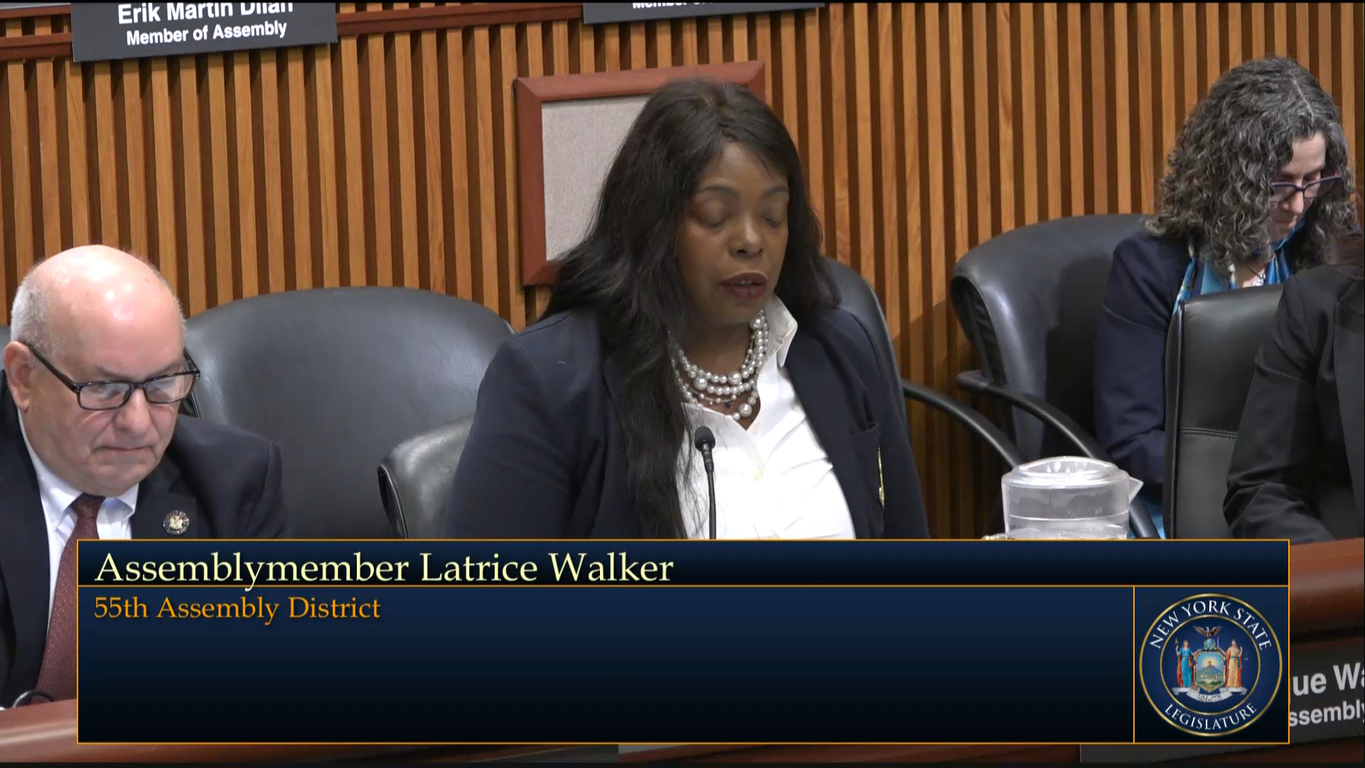NYS Indigent Legal Services Director Testifies During Budget Hearing on Public Protection