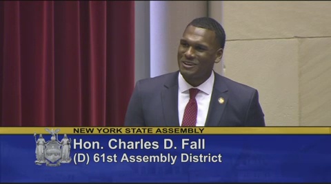 African Diaspora Day in the Assembly