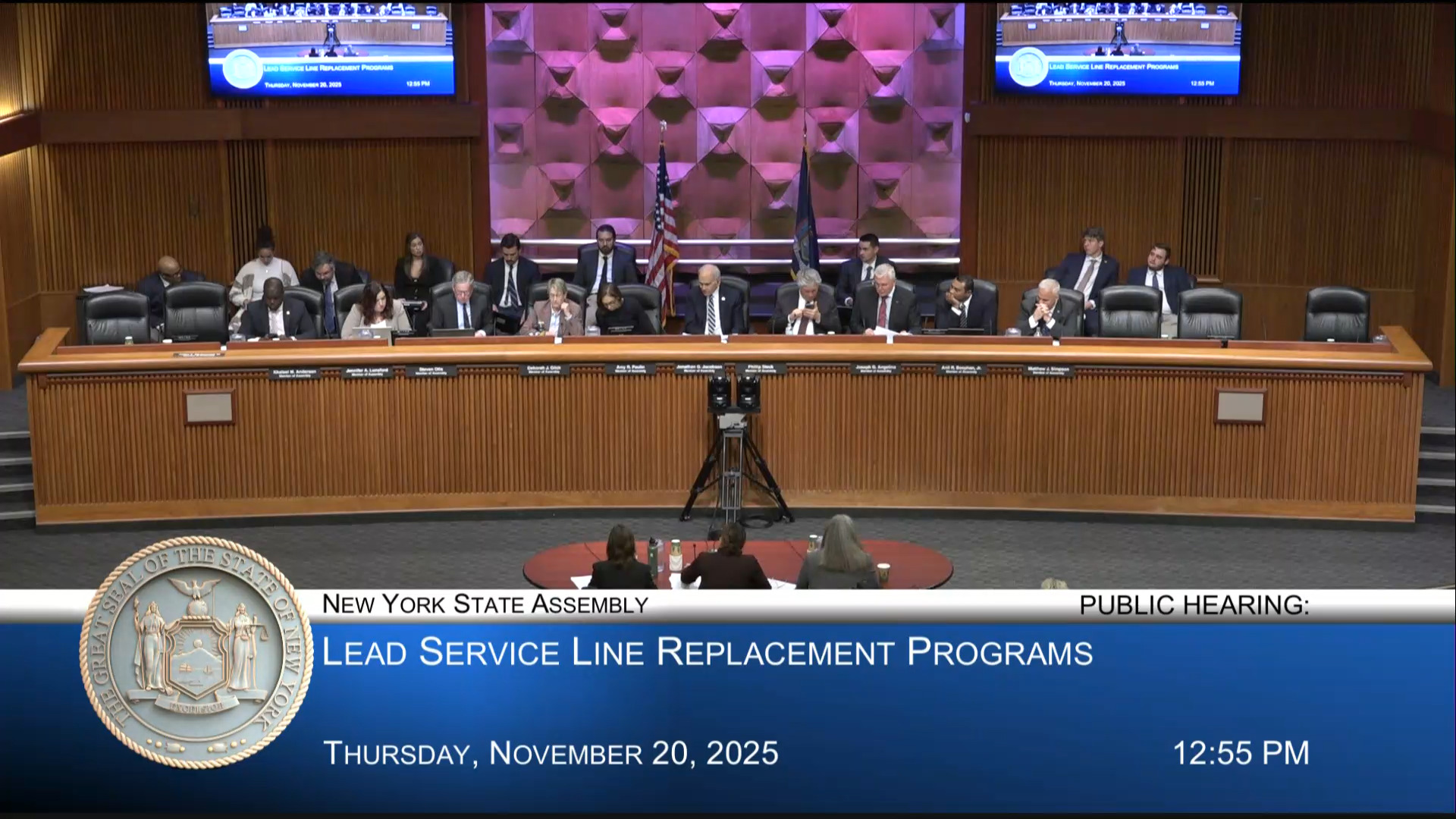 Glick Co-Chairs Public Hearing Examining New York’s Lead Service Line Replacement Program