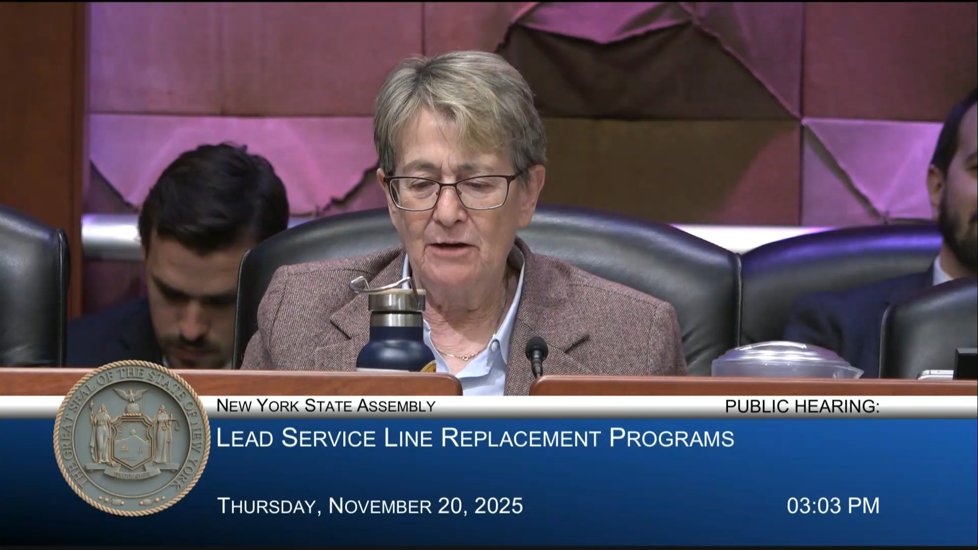 Environmental Advocates Testify at Public Hearing Examining New York’s Lead Service Line Replacement Program