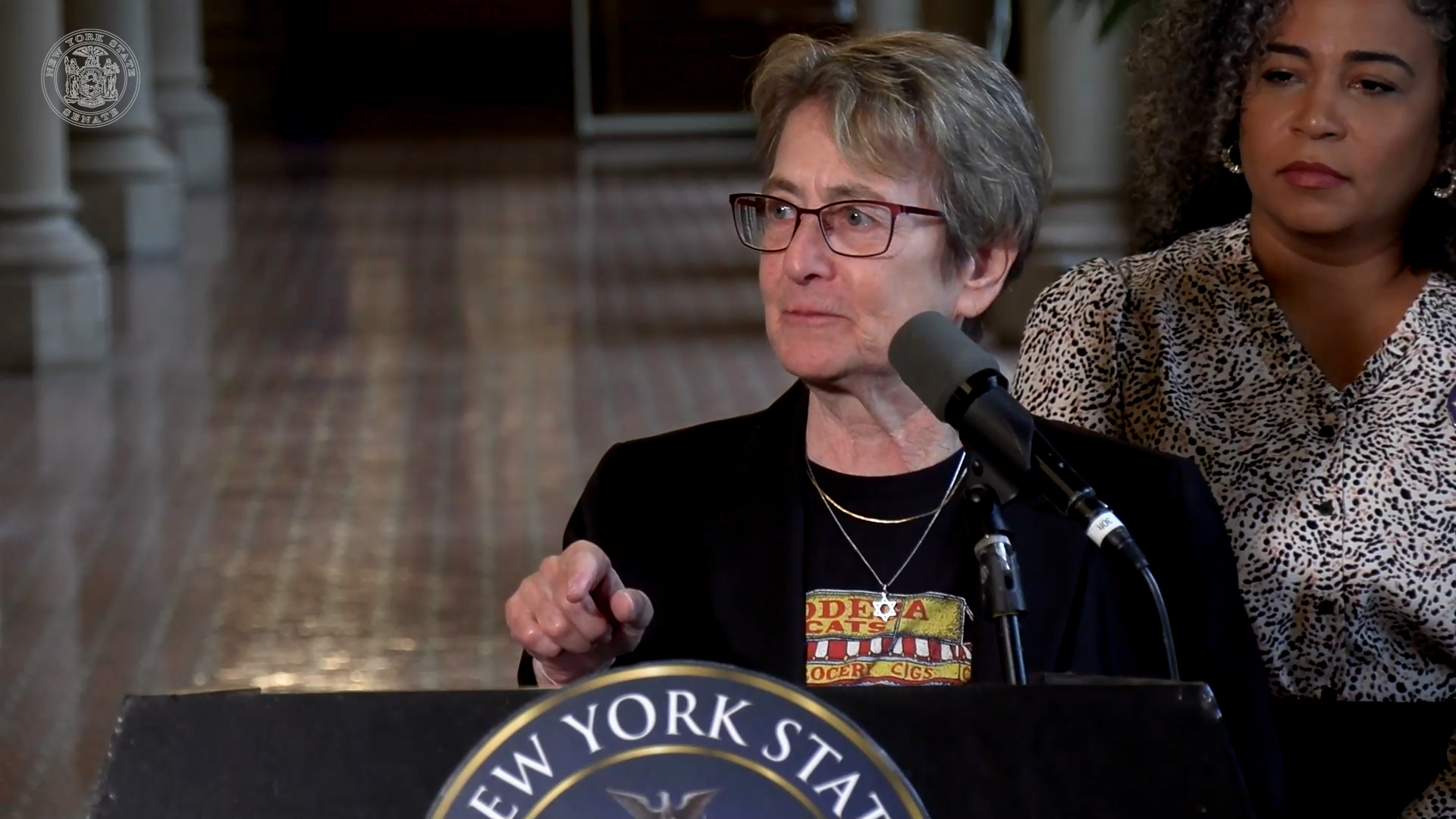 Glick Calls for Passage of New York For All Act