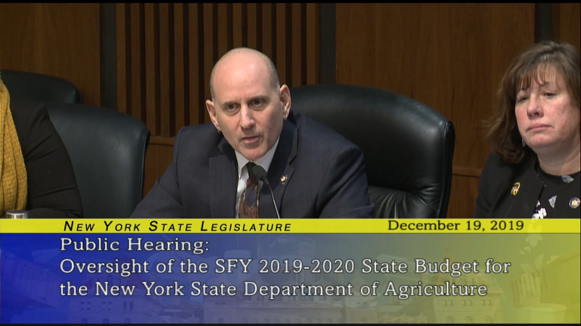 Public Hearing On New York State Department of Agriculture and Markets 2019-2020 State Budget (1)