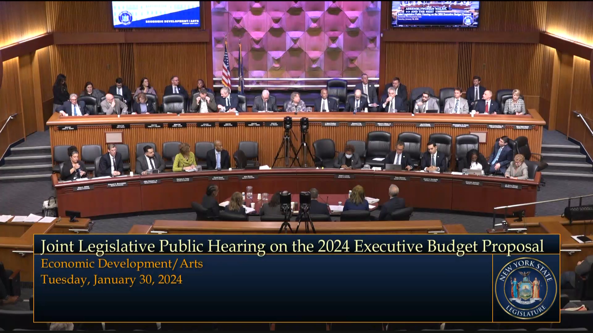 NYS Department of Economic Development Commissioner Testifies During Budget Hearing on Economic Development