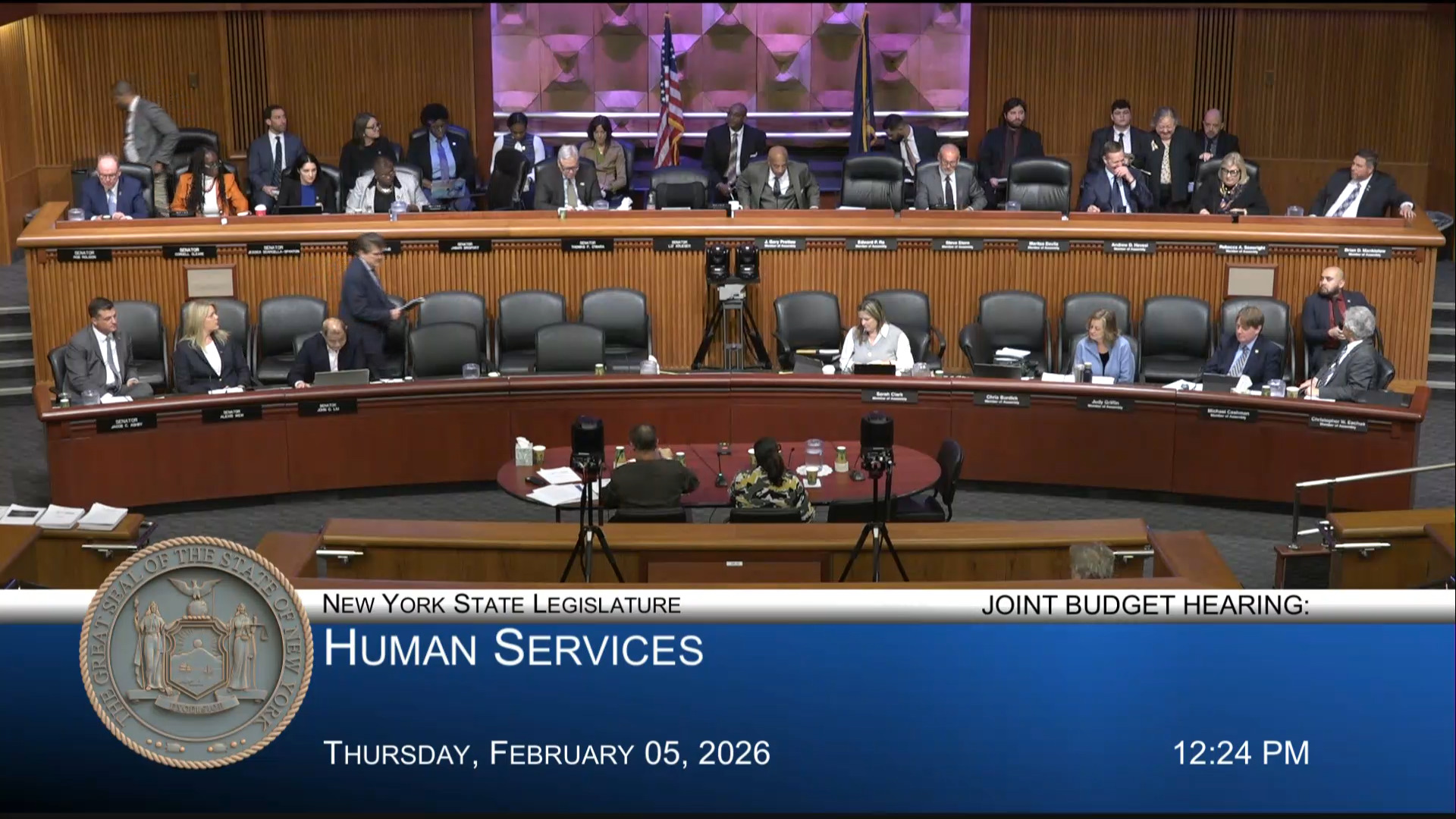 NYS Office of Aging Director Testifies During Joint Budget Hearing on Social Services