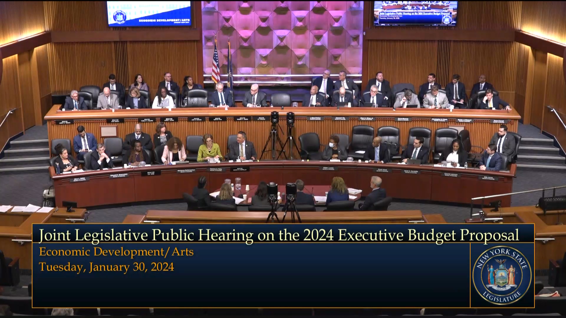NYS Department of Economic Development Commissioner Testifies During Budget Hearing on Economic Development