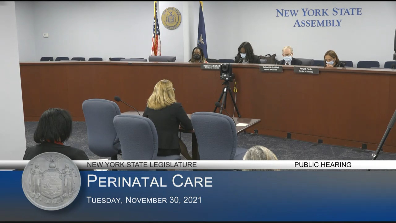 Public Hearing on Perinatal Care