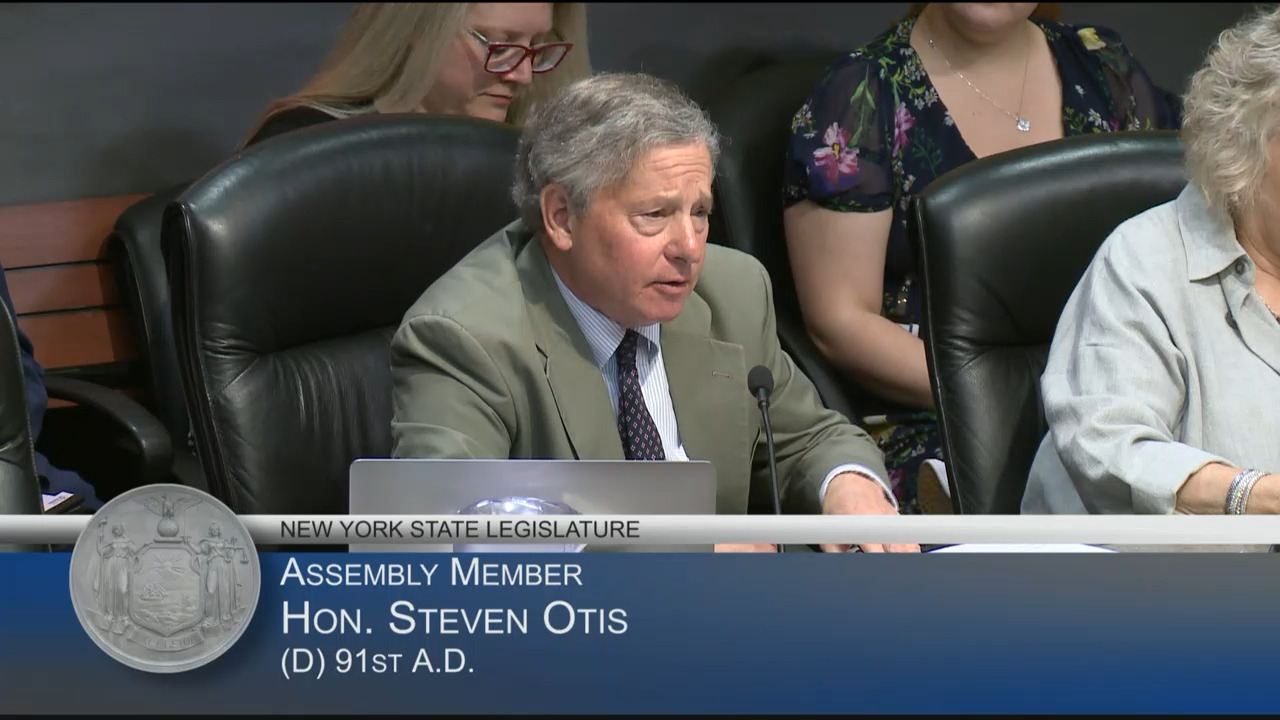 Central Hudson Gas and Electric President Testifies at Hearing on Electric and Gas Utility Rate Structures