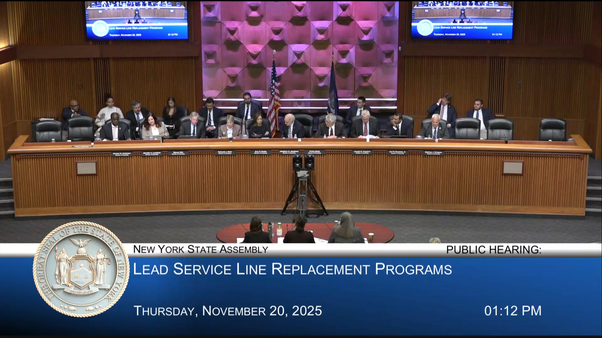 Assembly Holds Public Hearing Examining New York’s Lead Service Line Replacement Program