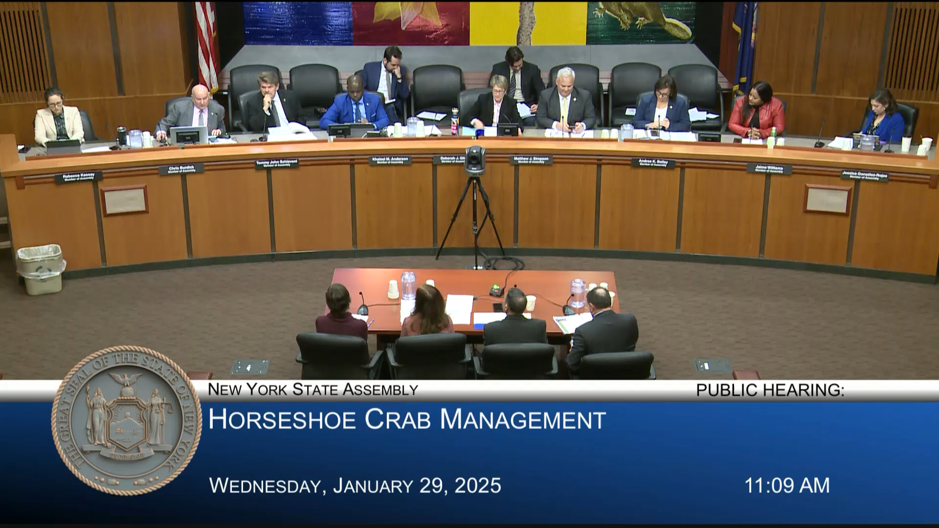 Environmental Advocates Testify During a Public Hearing on Horseshoe Crab Management in New York