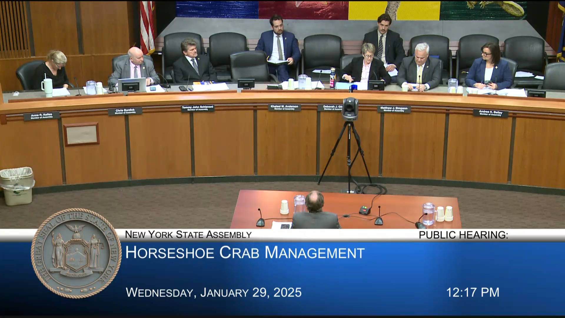 Advocates Testify During a Public Hearing on Horseshoe Crab Management in New York