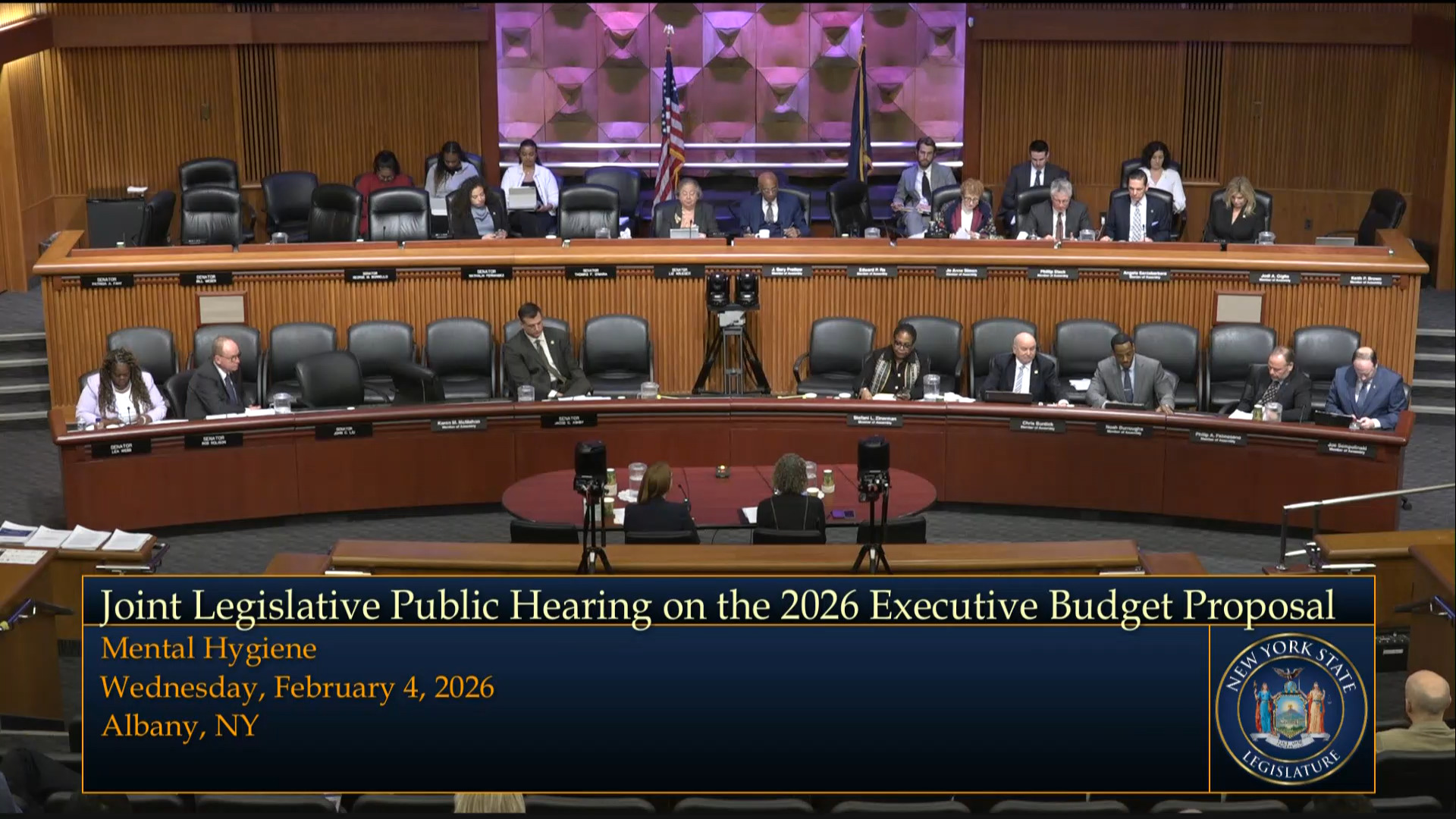 OPWDD Commissioner Testifies During a Joint Budget Hearing on Mental Hygiene