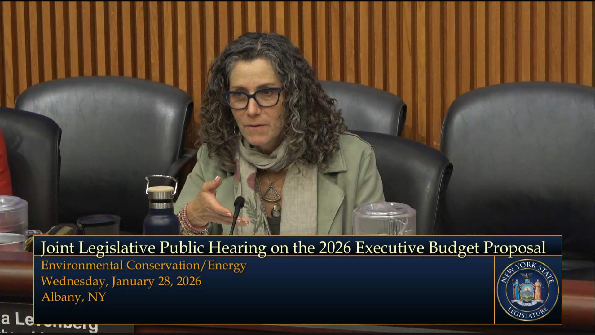 State Energy Officials Testify During Budget Hearing on Environmental Conservation