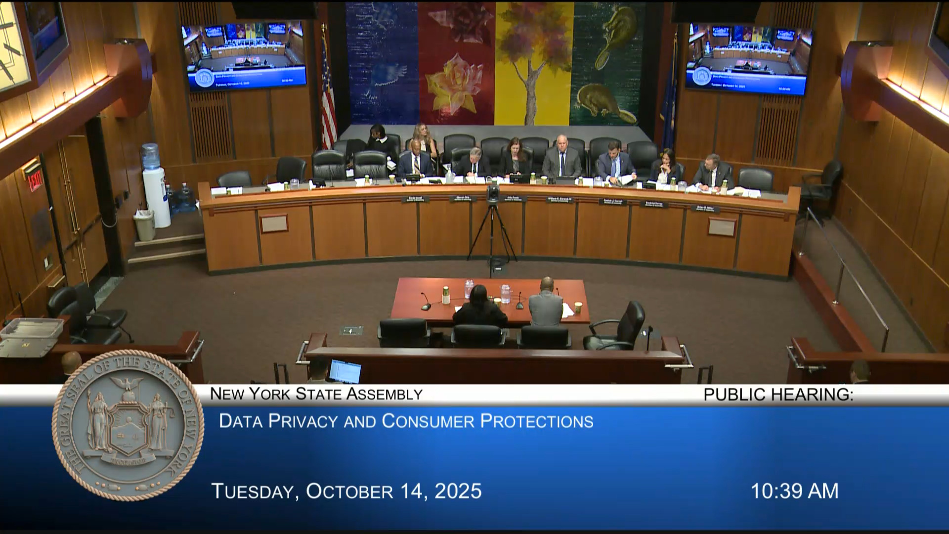 Public Hearing on the Protection and Privacy of Consumer Data