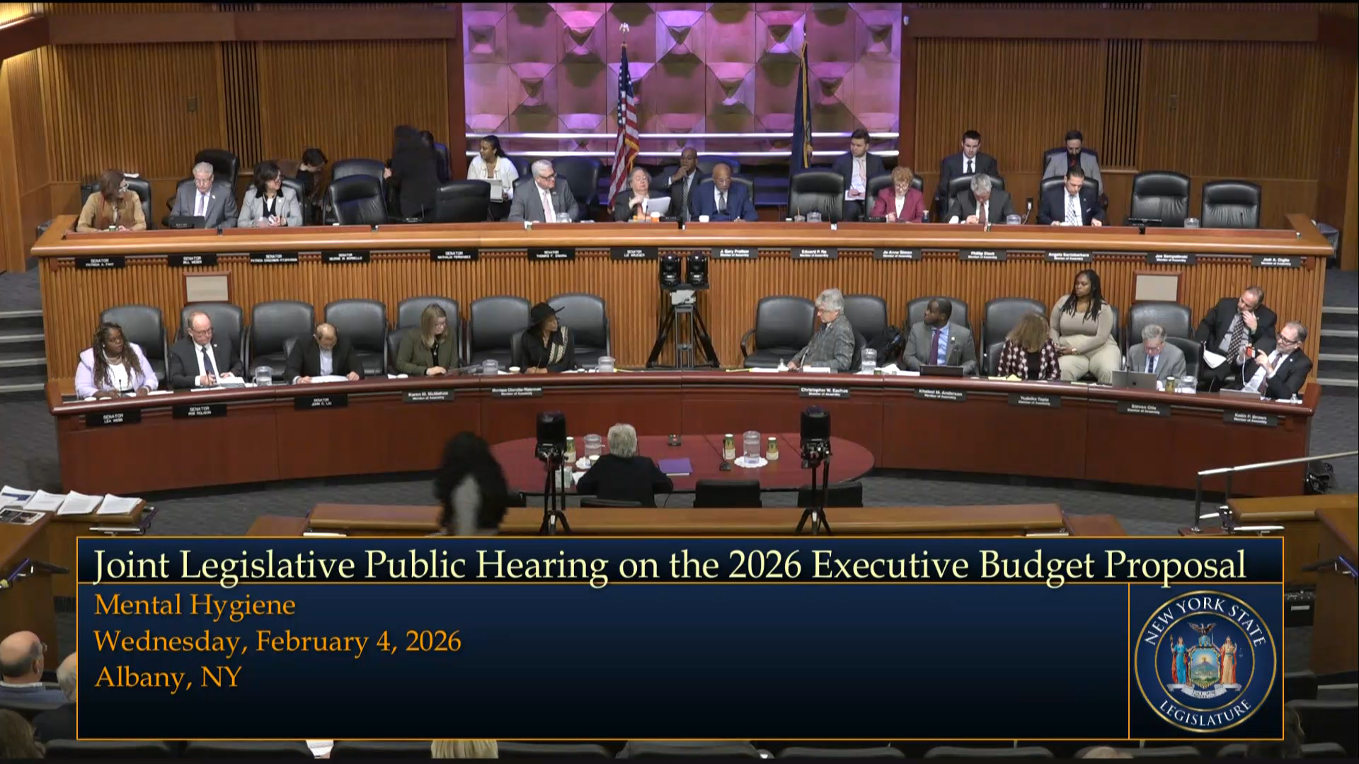 Mental Health Commissioner Testifies during a Joint Budget Hearing on Mental Hygiene