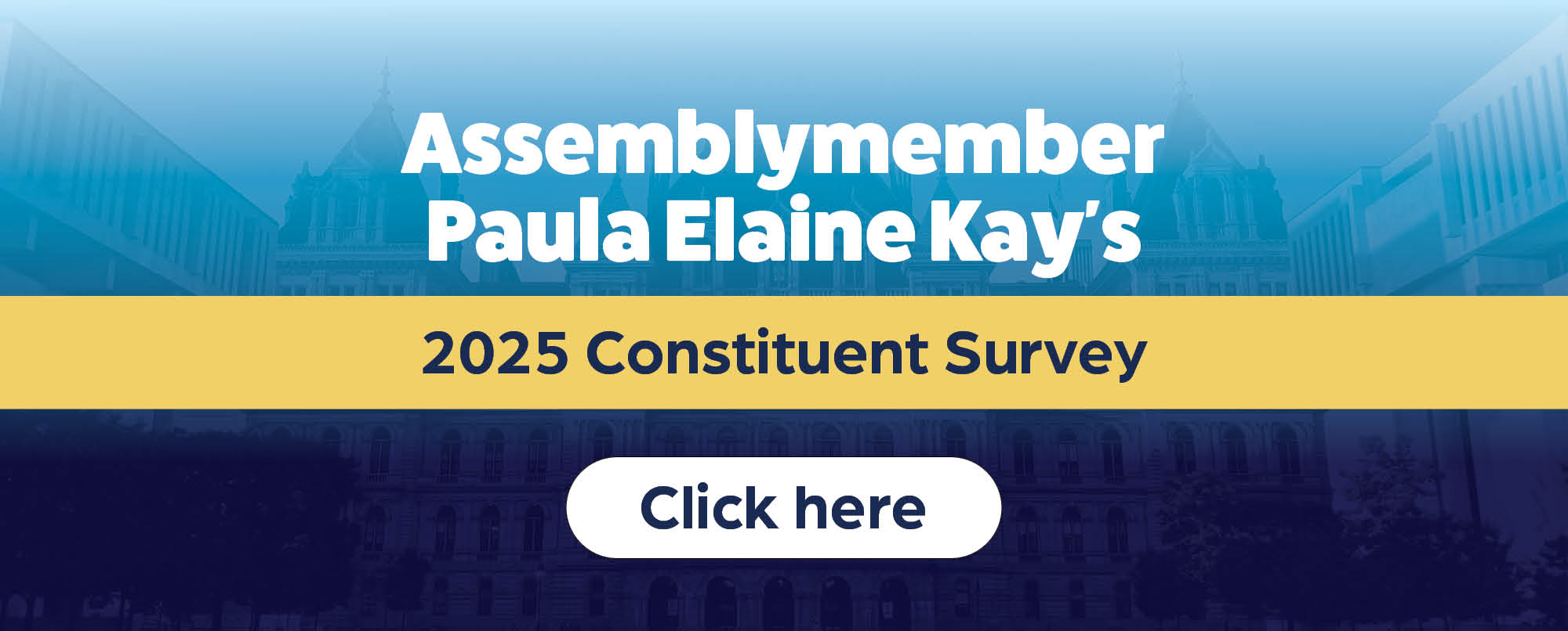 2025 Constituent Survey