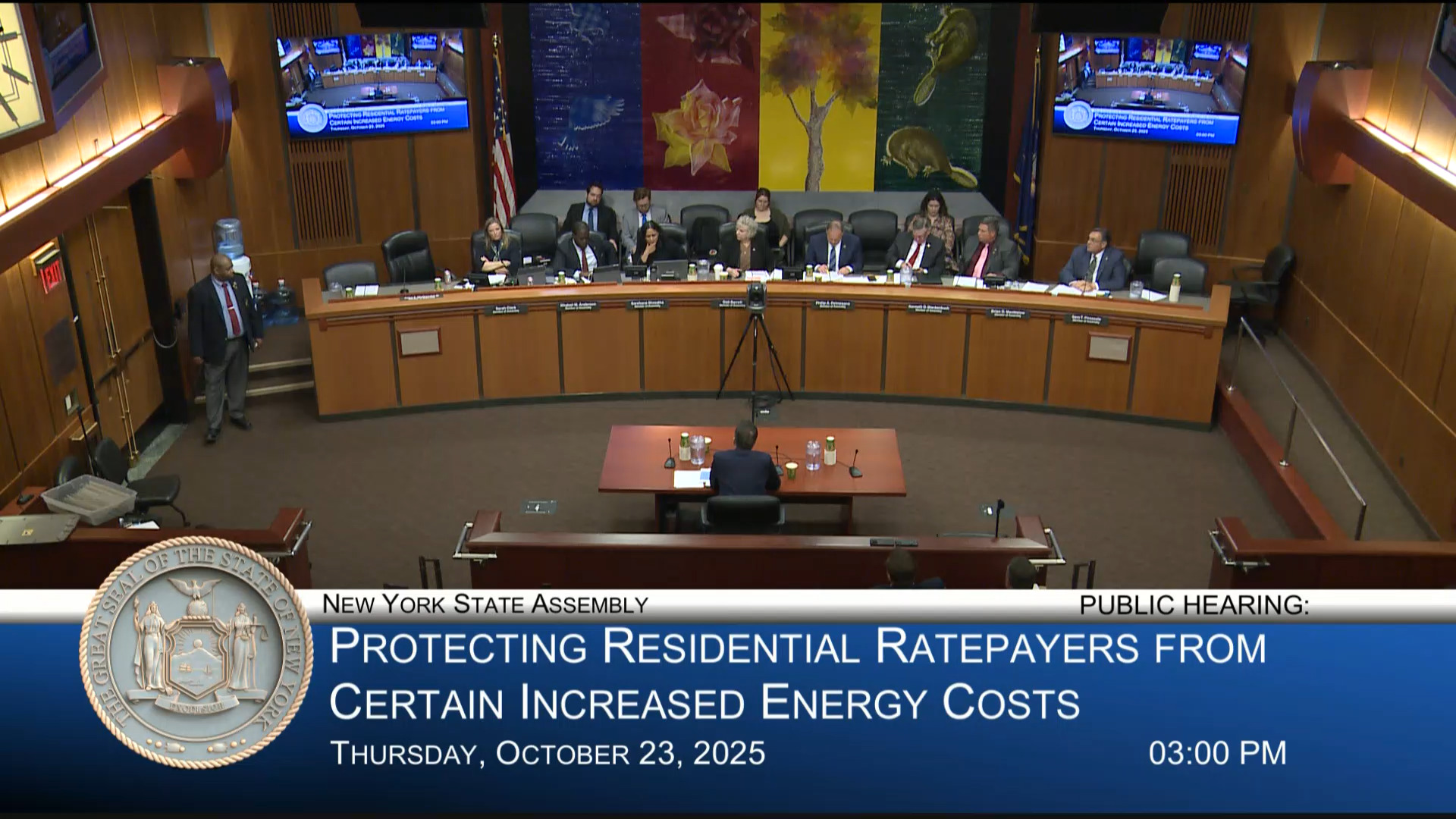 Shrestha Questions NYSLO VP During Public Hearing on Protecting Residential Ratepayers from Certain Increased Energy Costs