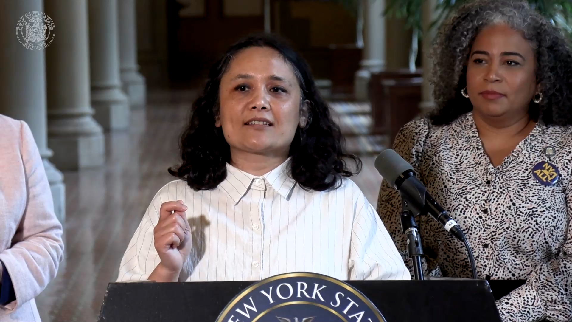 Shrestha Calls for Passage of New York For All Act