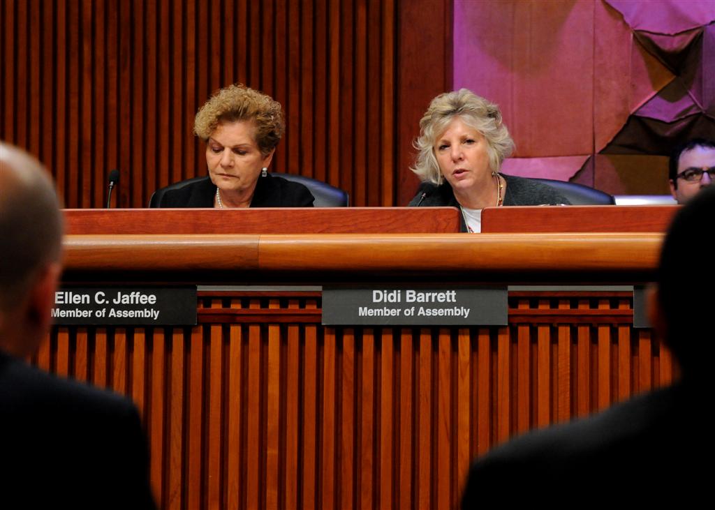 Assemblymember Didi Barrett speaks at an Assembly Hearing on Common Core Standards.