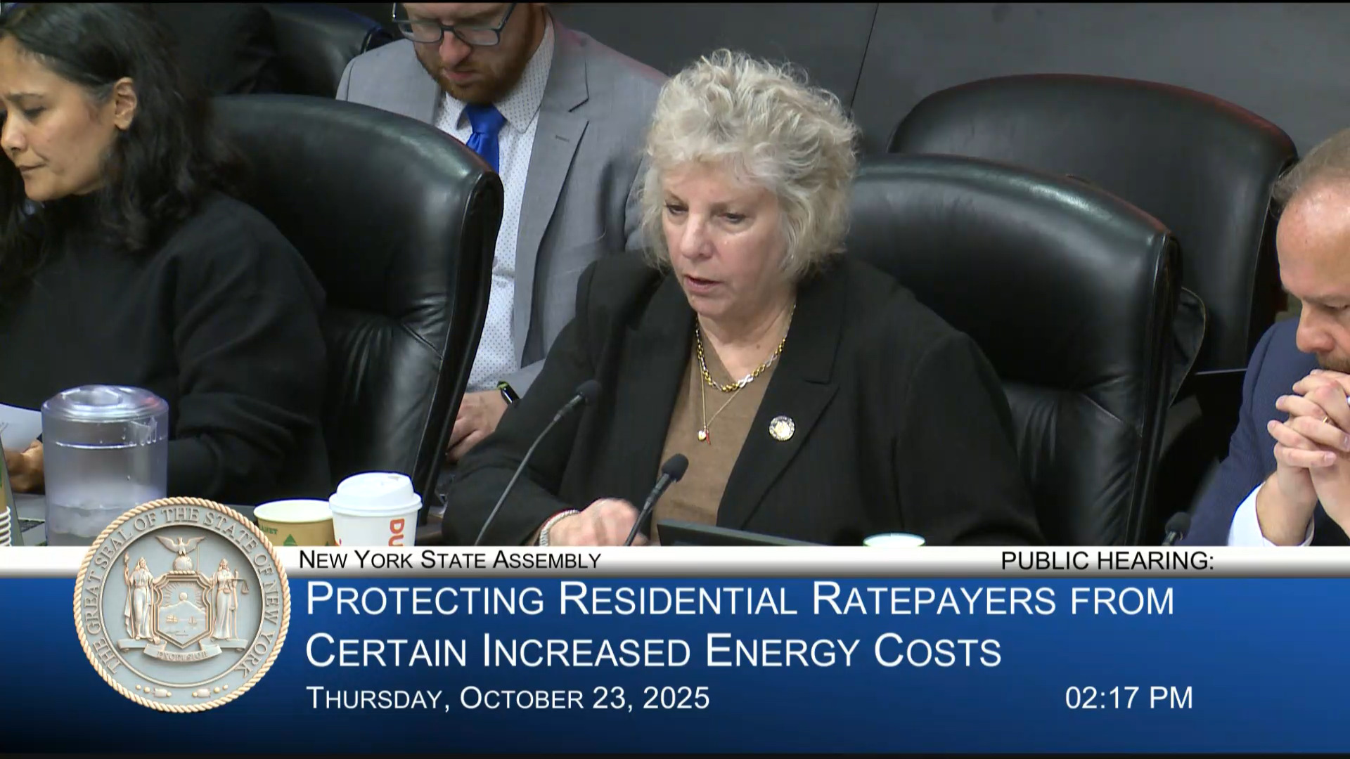 NYISO Representative Testifies During Public Hearing on Protecting Residential Ratepayers from Increased Energy Costs