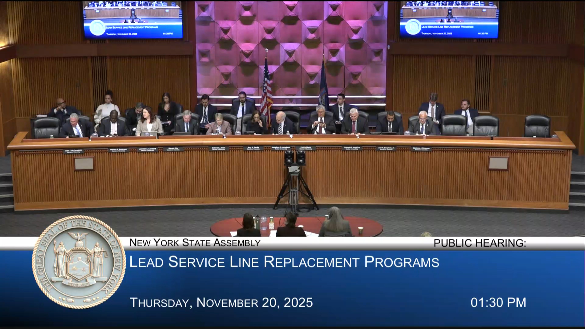 Assembly Holds Public Hearing Examining New York’s Lead Service Line Replacement Program