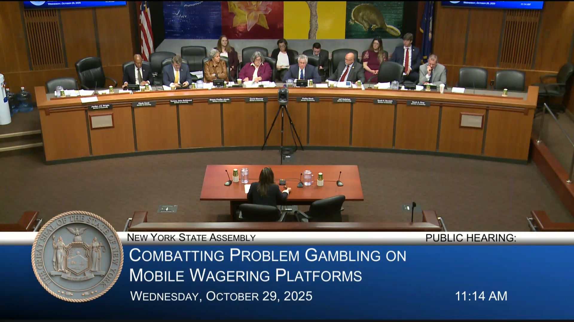 NY Council on Problem Gambling Director Testifies During Public Hearing on Combating Problem Gambling on Mobile Wagering Platforms