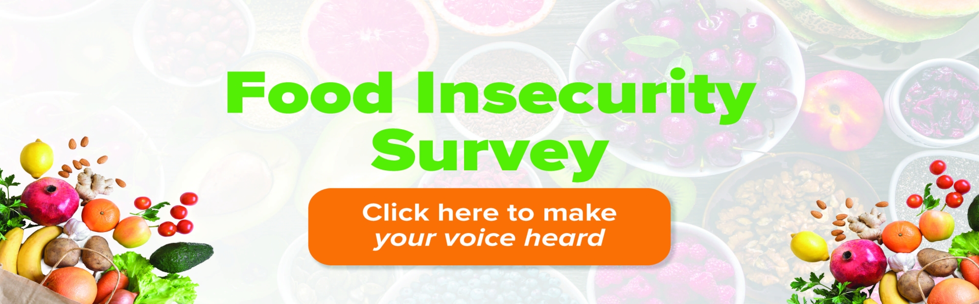 2026 Food Insecurities Survey