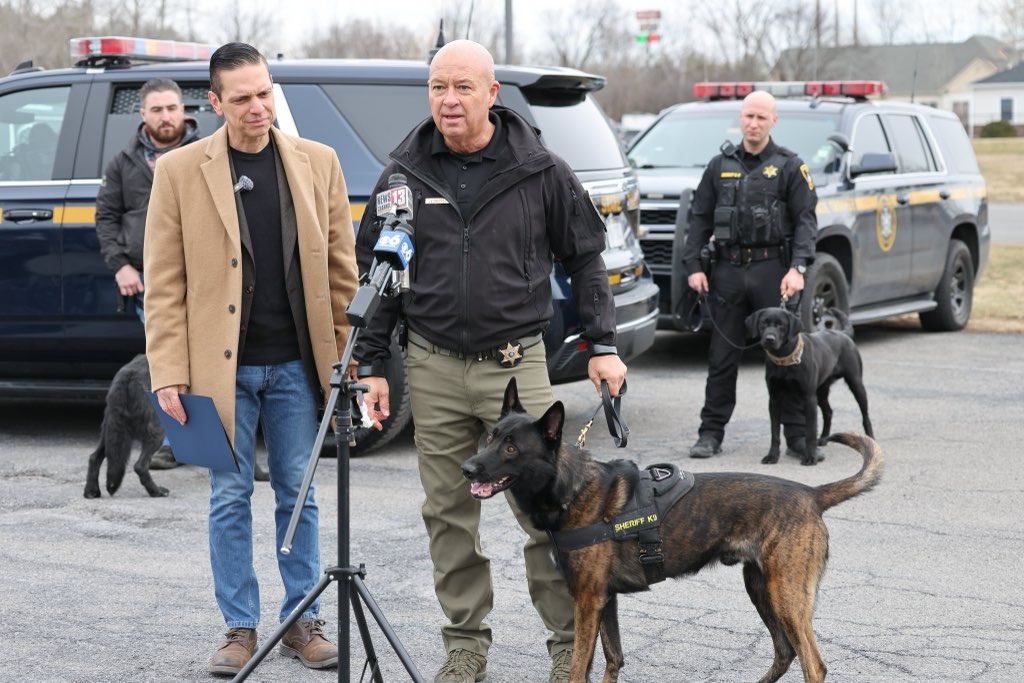 Photo as described in caption