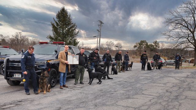 Photo as described in caption