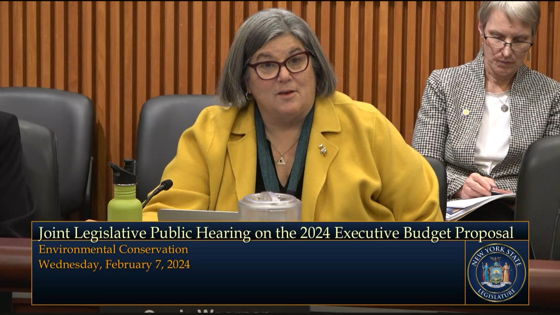 Woerner Questions DEC Commissioner & NYSERDA President During Budget Hearing on Agriculture, Environmental Conservation and Energy