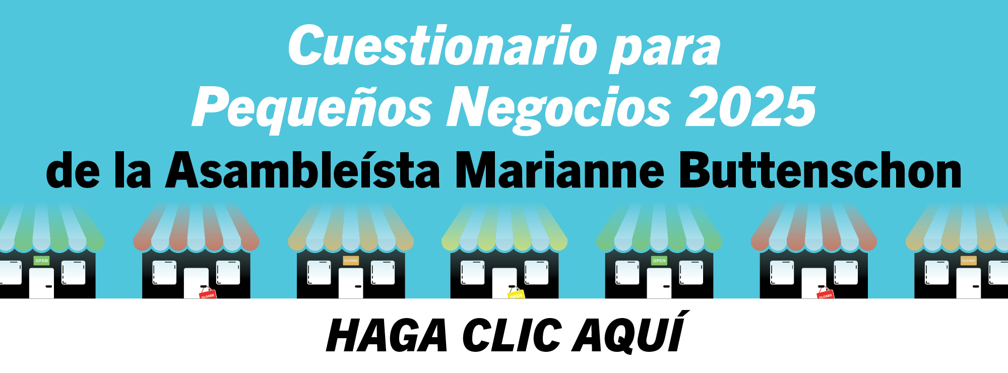 Cuestionario para Pequeños Negocios 2025