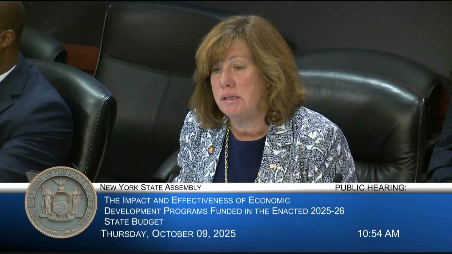 Buttenschon and ESD Commissioner Knight Speak During Hearing on Impact of Economic Development Programs funded in New State Budget