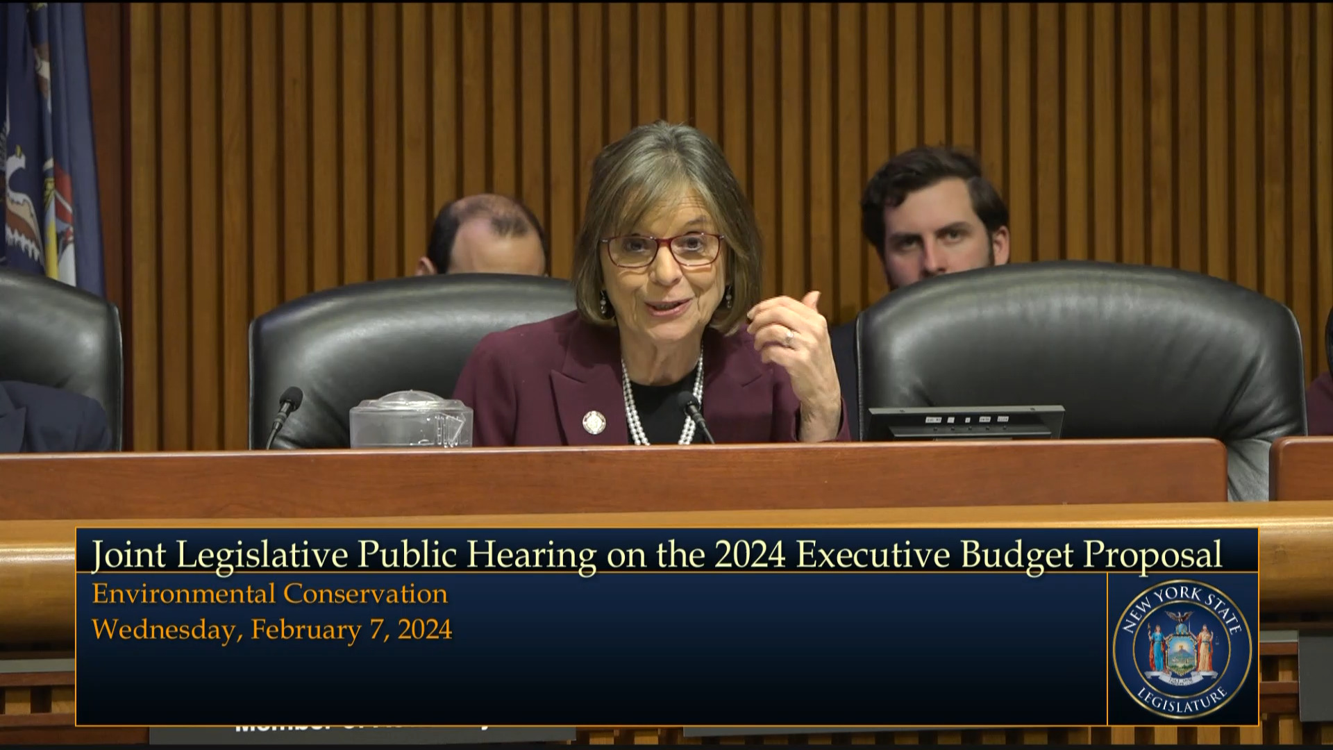 Food and Farm Advocates Testify During Budget Hearing on Agriculture, Environmental Conservation and Energy