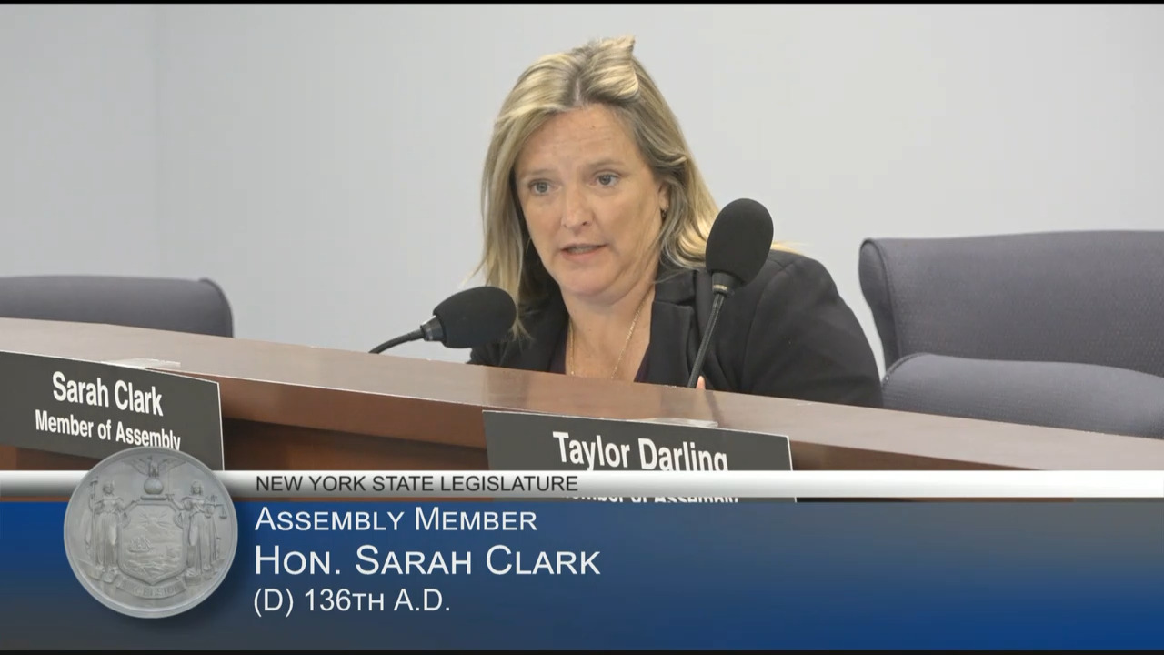 NYC Children Services Commissioner Testifies at Hearing on the Child Welfare System and Mandatory Reporting of Child Abuse or Maltreatment in NYS