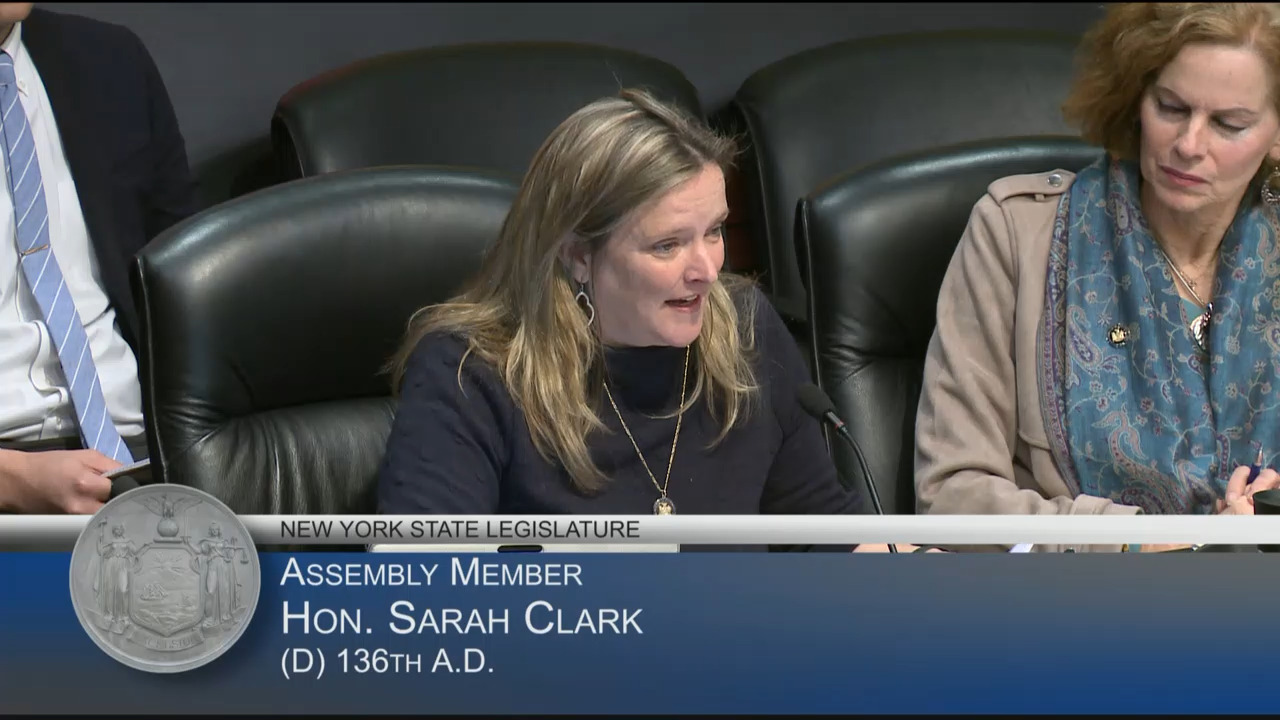 Advocates Testify During a Hearing on the New York State Tuition Assistance Program