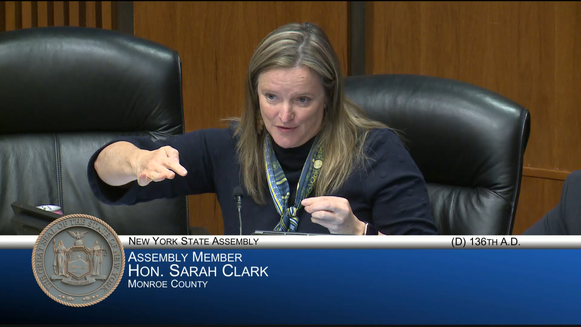 Clark Questions NYISO During Public Hearing on Protecting Residential Ratepayers from Certain Increased Energy Costs