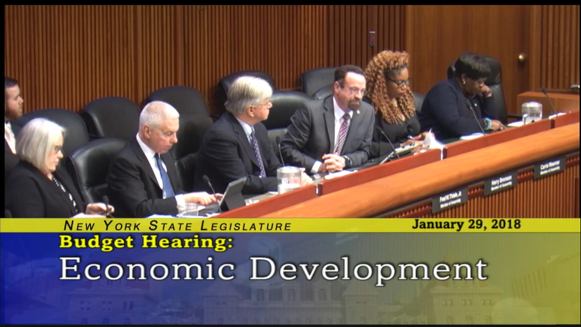 Budget Hearing on Economic Development