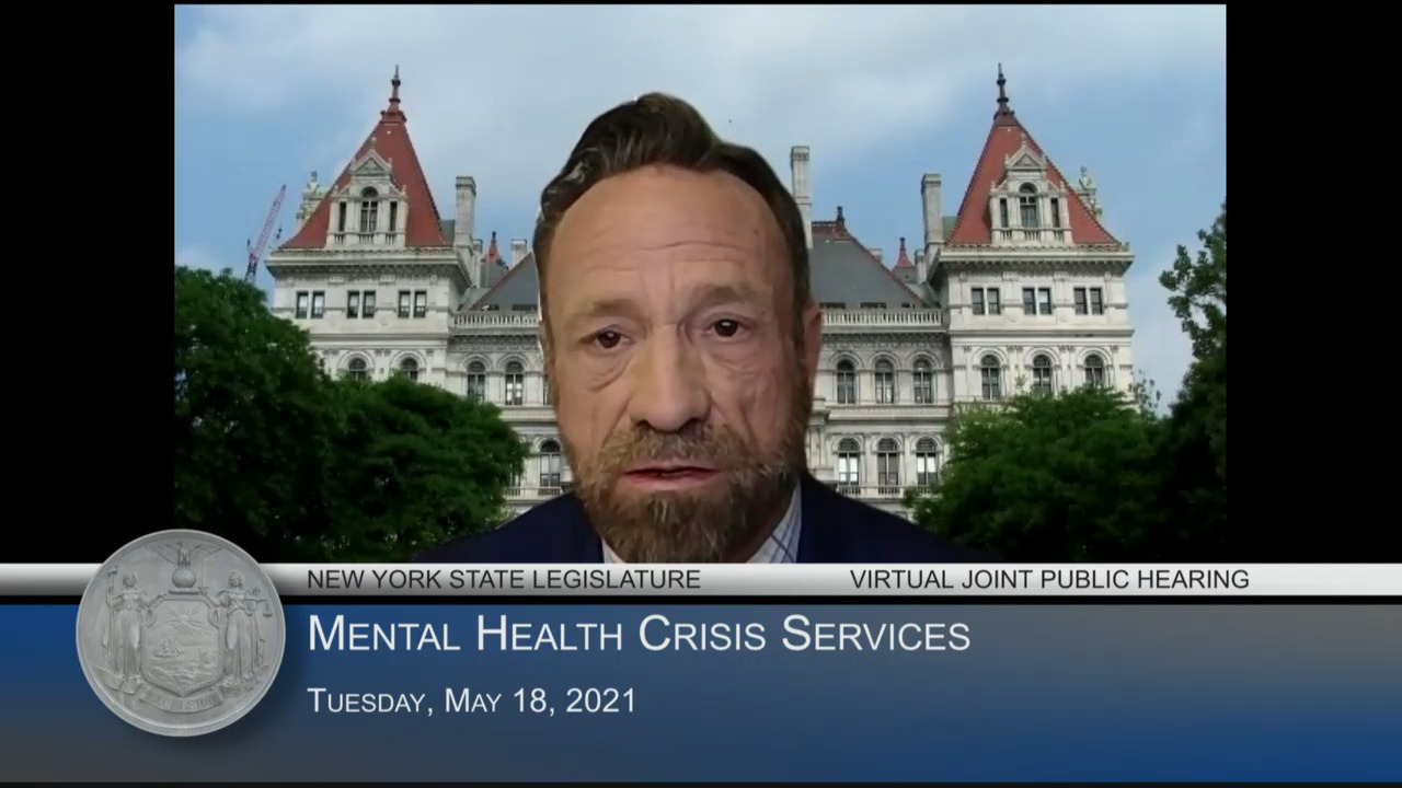 Public Hearing on Mental Health Crisis Services in New York