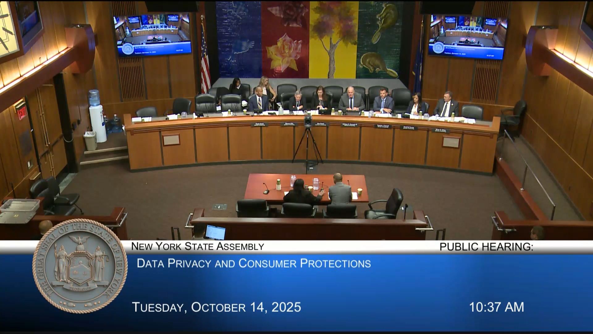 Public Hearing on the Protection and Privacy of Consumer Data