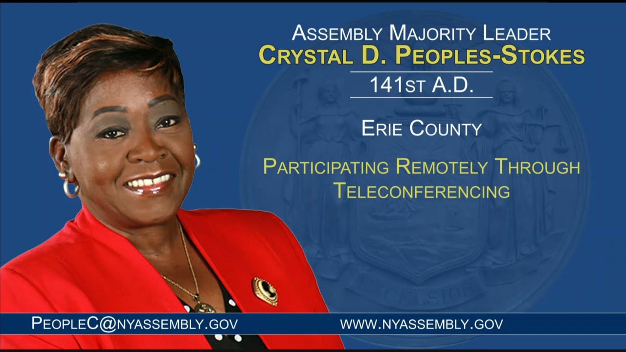 Majority Leader Peoples-Stokes Questions Rochester Mayor During Budget Hearing on Local /General Government